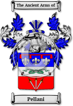 Pellani Family Crest Download (JPG) Legacy Series - 600 DPI