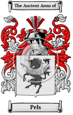 Pels Family Crest Download (JPG) Heritage Series - 600 DPI
