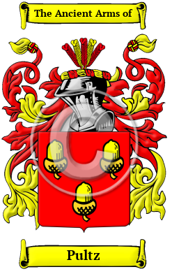 Pultz Family Crest Download (JPG) Heritage Series - 600 DPI