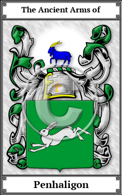 Penhaligon Family Crest Download (JPG)  Book Plated - 150 DPI