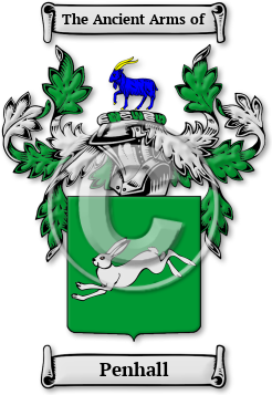 Penhall Family Crest Download (jpg) Legacy Series - 150 DPI