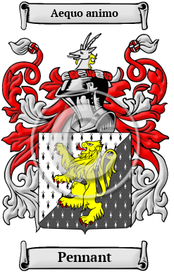 Pennant Family Crest Download (JPG) Heritage Series - 600 DPI