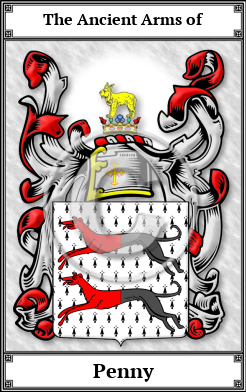 Penny Family Crest Download (JPG) Book Plated - 300 DPI