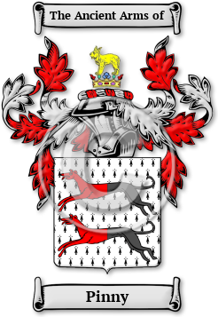 Pinny Family Crest Download (jpg) Legacy Series - 150 DPI