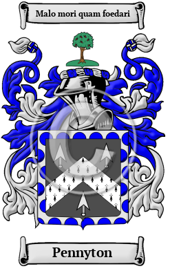 Pennyton Family Crest Download (JPG) Heritage Series - 600 DPI