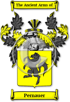 Pernauer Family Crest Download (jpg) Legacy Series - 150 DPI