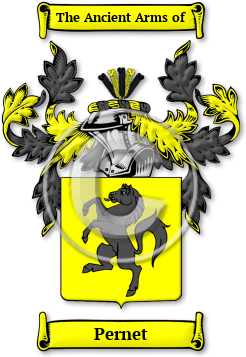 Pernet Family Crest Download (jpg) Legacy Series - 150 DPI