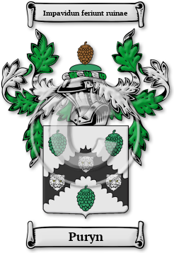Puryn Family Crest Download (jpg) Legacy Series - 150 DPI