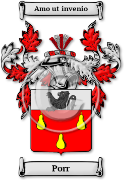 Porr Family Crest Download (jpg) Legacy Series - 150 DPI