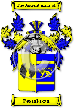 Pestalozza Family Crest Download (jpg) Legacy Series - 150 DPI