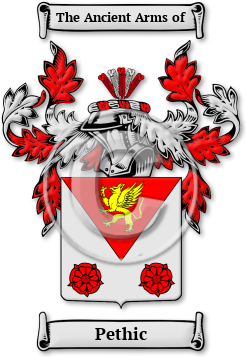Pethic Family Crest Download (jpg) Legacy Series - 150 DPI