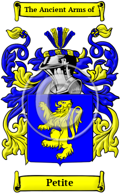 Petite Name Meaning, Family History, Family Crest & Coats of Arms