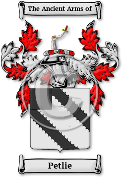 Petlie Family Crest Download (jpg) Legacy Series - 150 DPI