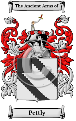 Pettly Family Crest Download (JPG) Heritage Series - 300 DPI
