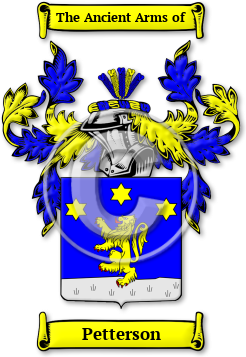Petterson Family Crest Download (JPG) Legacy Series - 600 DPI