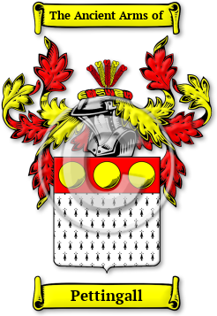 Pettingall Family Crest Download (jpg) Legacy Series - 150 DPI