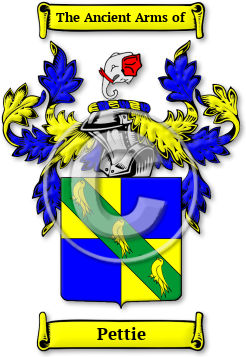 Pettie Family Crest Download (jpg) Legacy Series - 150 DPI