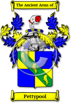 Pettypool Family Crest Download (jpg) Legacy Series - 150 DPI