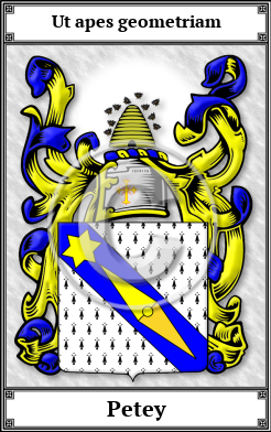 Petey Family Crest Download (JPG) Book Plated - 600 DPI