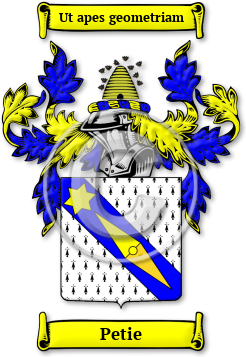 Petie Family Crest Download (jpg) Legacy Series - 150 DPI