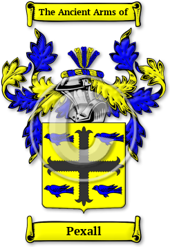 Pexall Family Crest Download (jpg) Legacy Series - 150 DPI