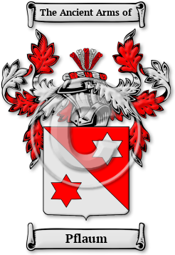 Pflaum Family Crest Download (jpg) Legacy Series - 150 DPI
