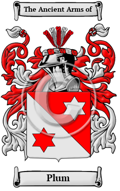 Plum Family Crest Download (JPG) Heritage Series - 600 DPI