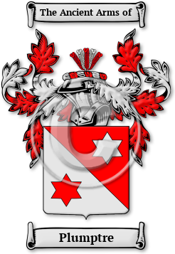 Plumptre Family Crest Download (JPG) Legacy Series - 600 DPI