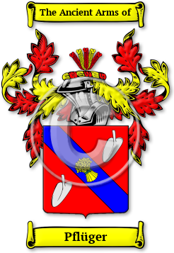 Pflüger Family Crest Download (JPG) Legacy Series - 600 DPI