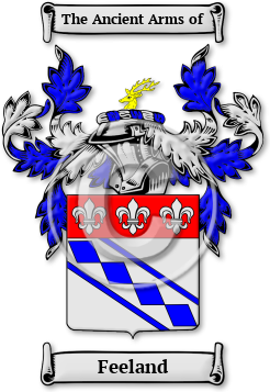 Feeland Family Crest Download (jpg) Legacy Series - 150 DPI