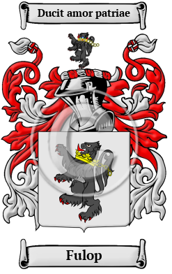 Fulop History, Family Crest & Coats of Arms