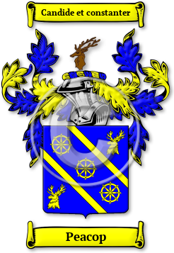 Peacop Family Crest Download (JPG) Legacy Series - 600 DPI