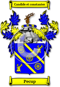 Pecup Family Crest Download (JPG) Legacy Series - 600 DPI