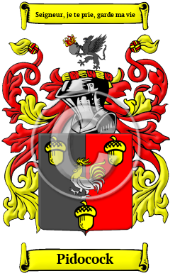 Pidocock Family Crest/Coat of Arms