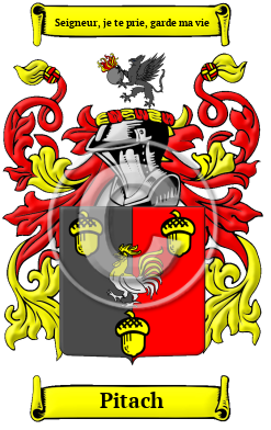 Pitach Family Crest/Coat of Arms