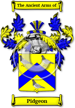 Pidgeon Family Crest Download (jpg) Legacy Series - 150 DPI