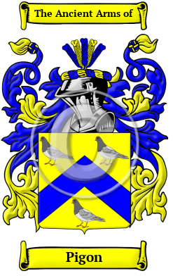 Pigon Family Crest/Coat of Arms