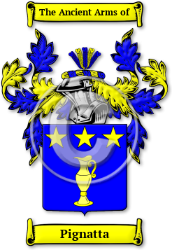 Pignatta Family Crest Download (jpg) Legacy Series - 150 DPI
