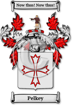 Pelkey Family Crest Download (jpg) Legacy Series - 150 DPI