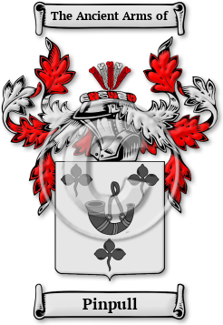 Pinpull Family Crest Download (JPG) Legacy Series - 600 DPI