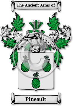 Pineault Family Crest Download (jpg) Legacy Series - 150 DPI