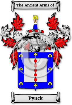 Pynck Family Crest Download (jpg) Legacy Series - 150 DPI