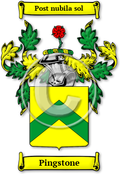 Pingstone Family Crest Download (jpg) Legacy Series - 150 DPI