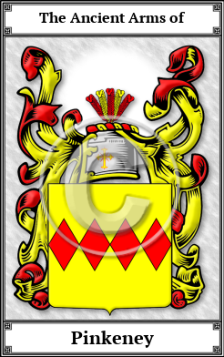 Pinkeney Family Crest Download (JPG)  Book Plated - 150 DPI