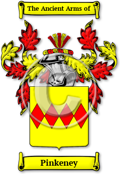 Pinkeney Family Crest Download (jpg) Legacy Series - 150 DPI
