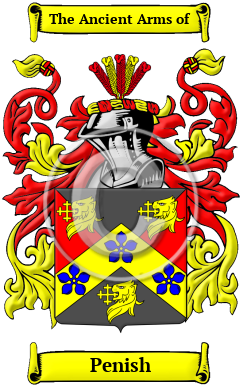 Penish Family Crest/Coat of Arms