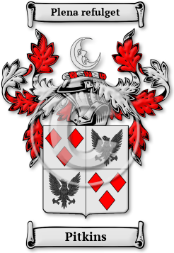 Pitkins Family Crest Download (jpg) Legacy Series - 150 DPI
