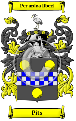 Pits Family Crest Download (JPG) Heritage Series - 600 DPI