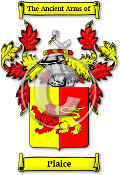 Plaice Family Crest Download (JPG) Legacy Series - 600 DPI