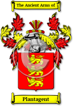 Plantagent Family Crest Download (jpg) Legacy Series - 150 DPI